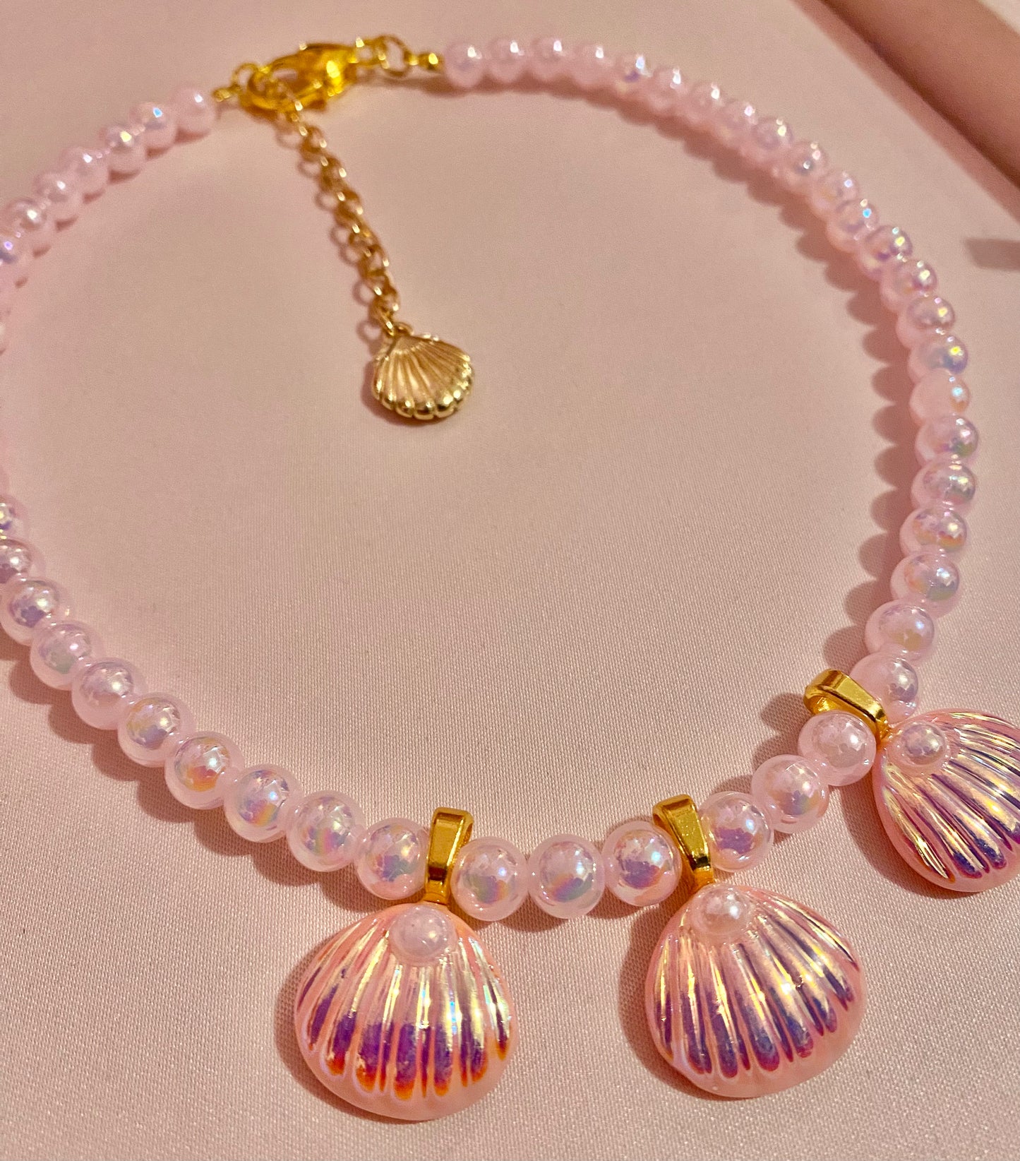 Seashell Necklace